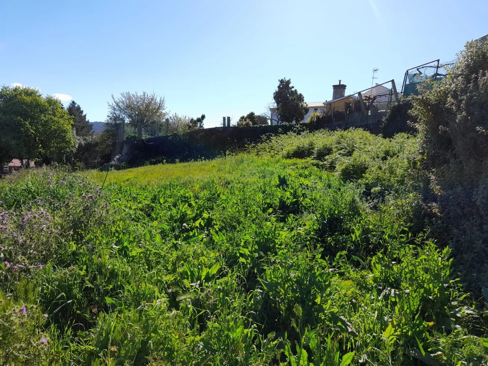 Terreno para Venda em Seixas Foto 3