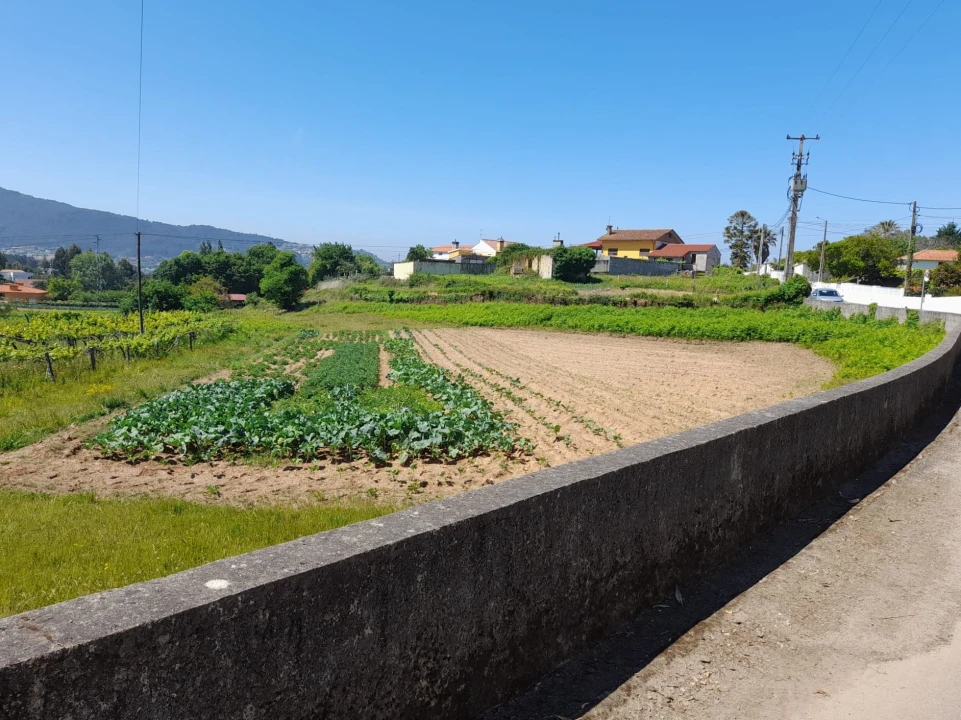 Terreno para Venda em Seixas Foto 5