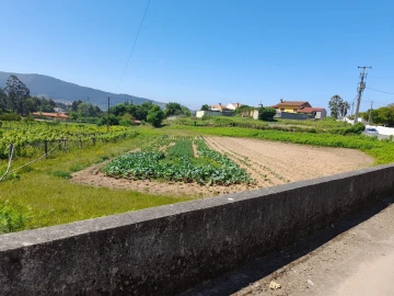 Terreno para Venda em Seixas