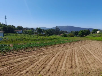 Terreno para Venda em Seixas