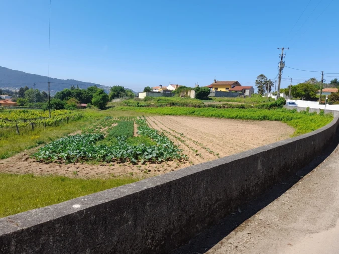 Terreno para Venda em Seixas Foto 5