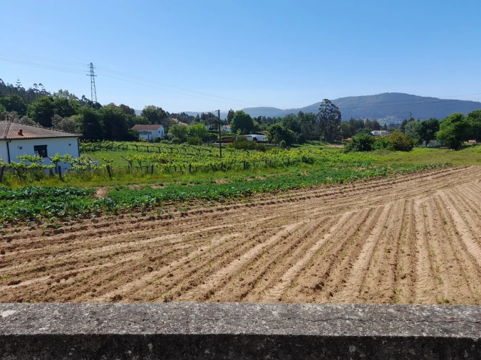 Terreno para Venda em Seixas Foto 2