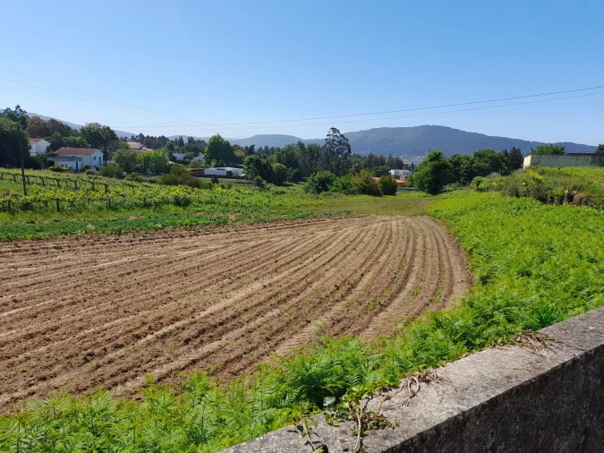 Terreno para Venda em Seixas Foto 11