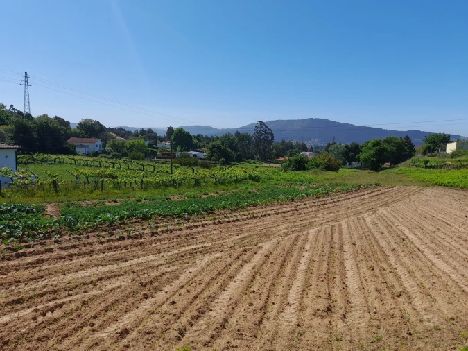 Terreno para Venda em Seixas Foto 3