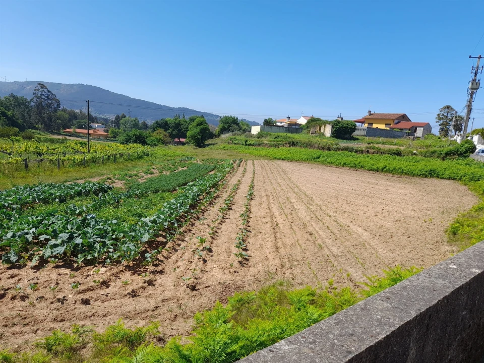 Terreno para Venda em Seixas Foto 4