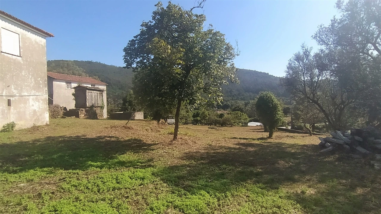 Quinta T5 para Venda em Argela Foto 10