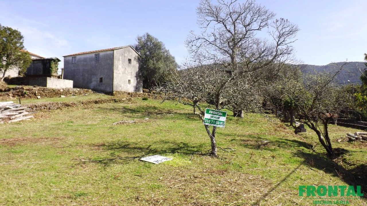 Quinta T5 para Venda em Argela Foto 8