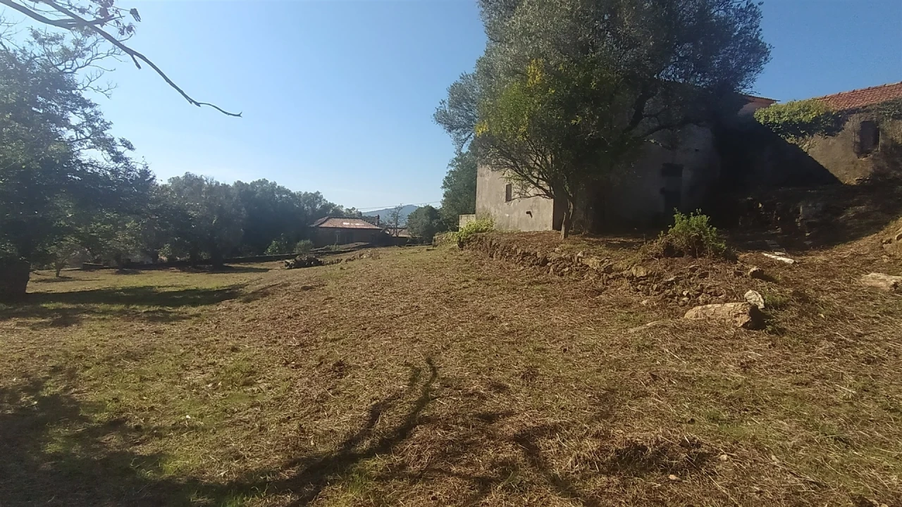 Quinta T5 para Venda em Argela Foto 17