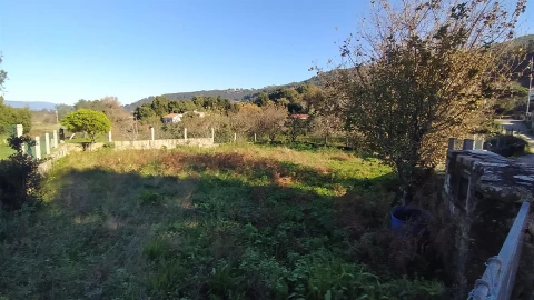 Terreno para Venda em Moledo e Cristelo