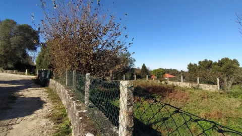 Terreno para Venda em Moledo e Cristelo