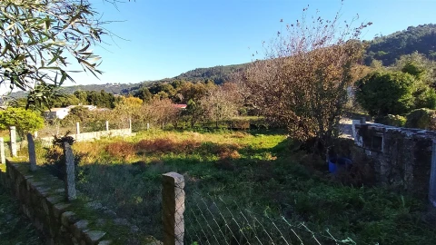 Terreno para Venda em Moledo e Cristelo
