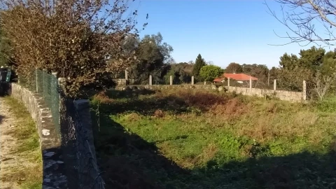 Terreno para Venda em Moledo e Cristelo