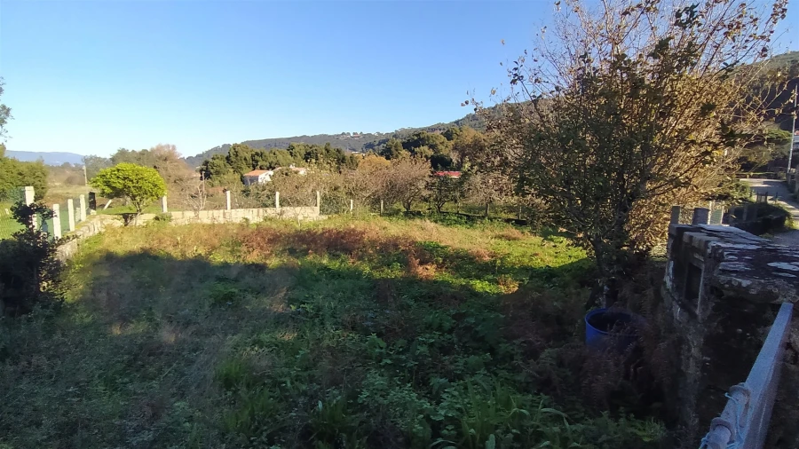 Terreno para Venda em Moledo e Cristelo Foto 9