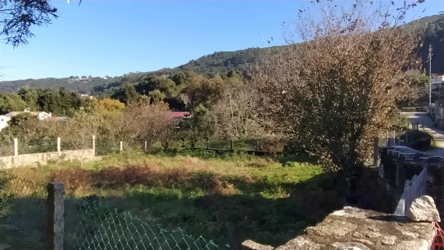 Terreno para Venda em Moledo e Cristelo Foto 4