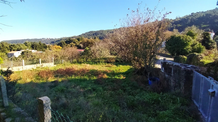 Terreno para Venda em Moledo e Cristelo Foto 10