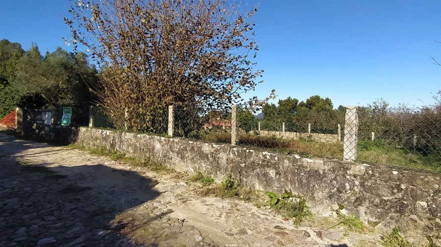 Terreno para Venda em Moledo e Cristelo Foto 7