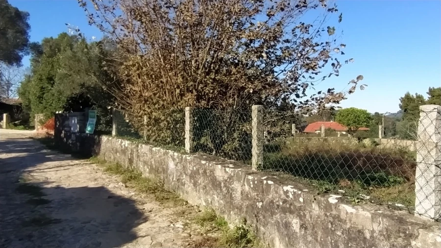 Terreno para Venda em Moledo e Cristelo Foto 3