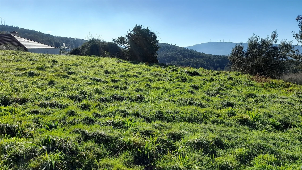 Terreno para Venda em Dem Foto 13