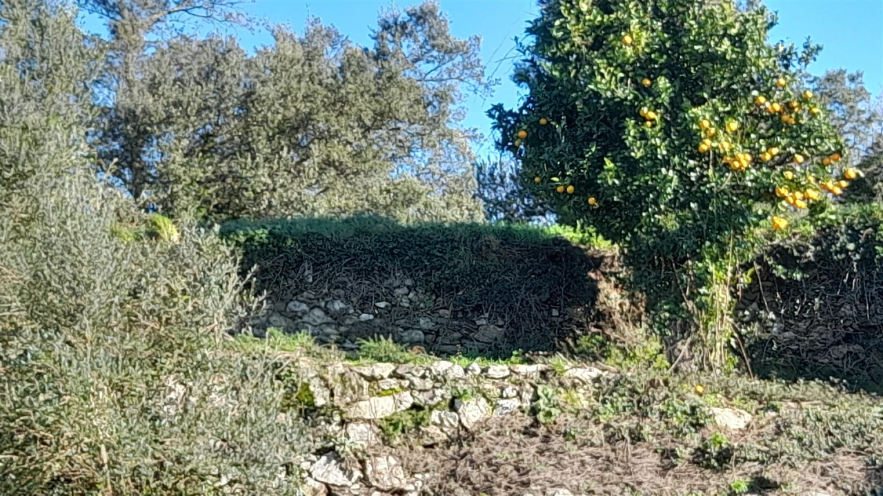 Terreno para Venda em Dem Foto 8