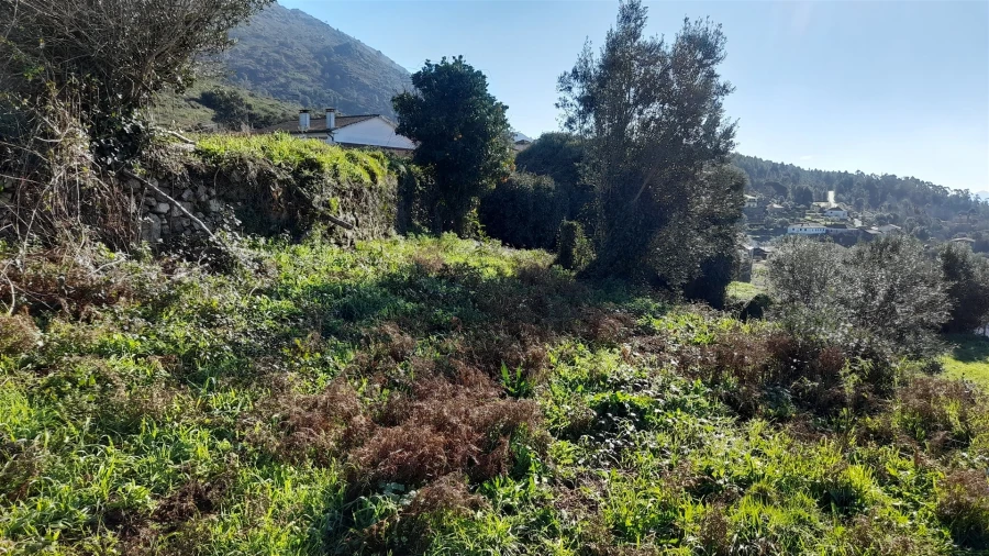 Terreno para Venda em Dem Foto 11