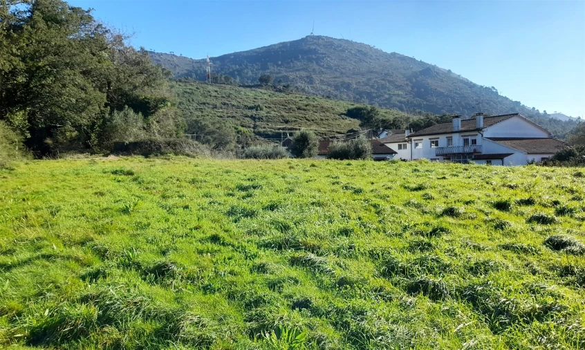 Terreno para Venda em Dem Foto 12