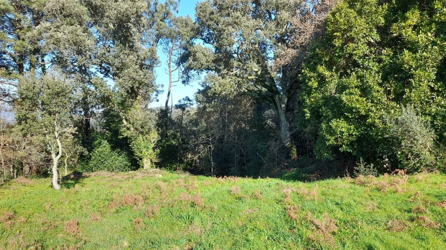 Terreno para Venda em Dem Foto 16