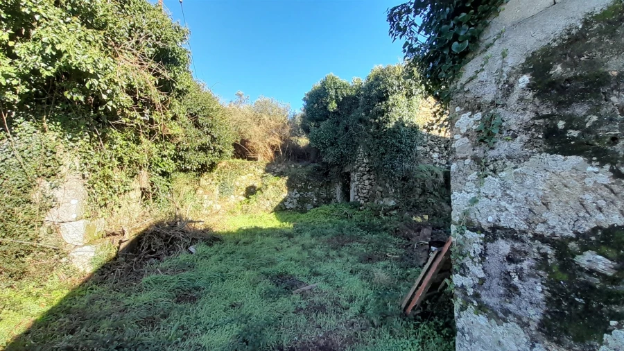 Terreno para Venda em Dem Foto 5