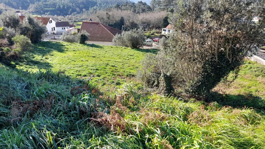 Terreno para Venda em Dem Foto 15