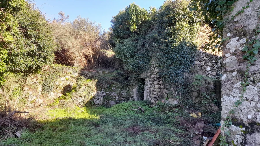 Terreno para Venda em Dem Foto 6