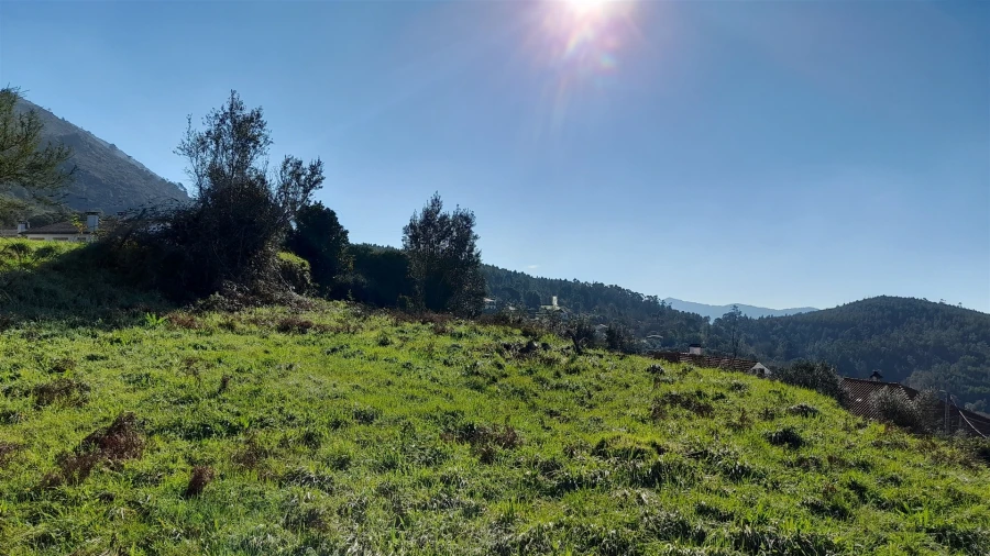 Terreno para Venda em Dem Foto 17