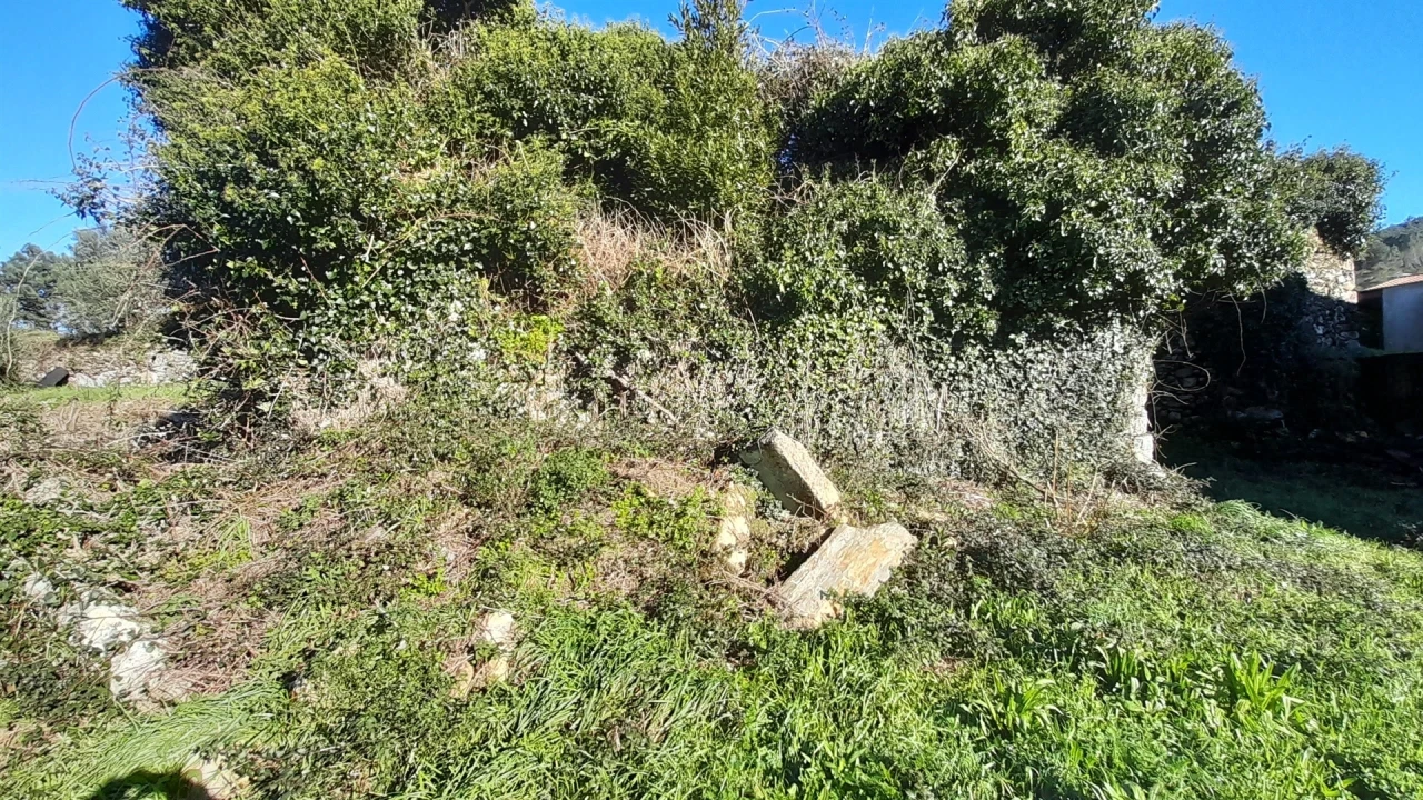 Terreno para Venda em Dem Foto 7