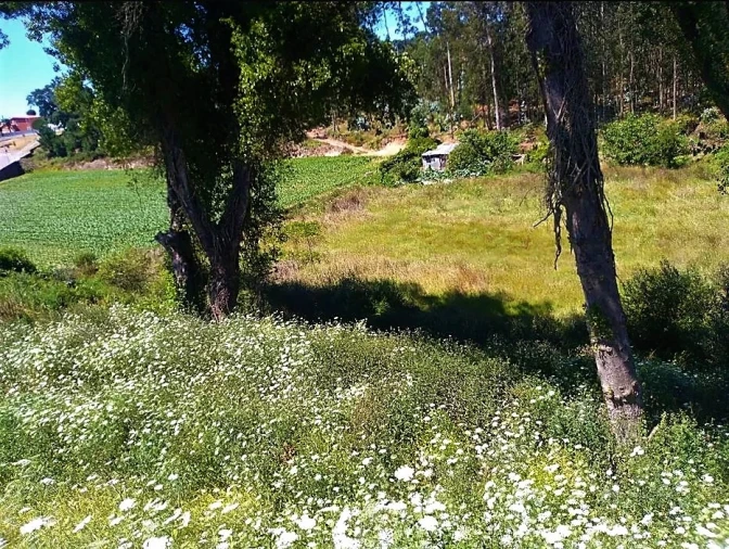 Terreno para Venda em Retorta e Tougues Foto 7