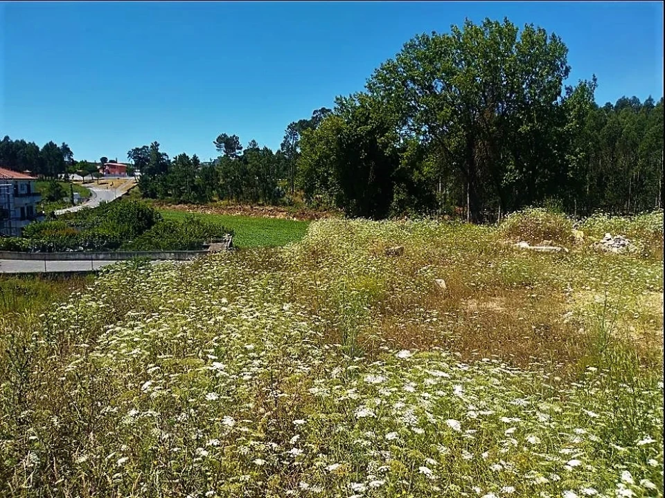 Terreno para Venda em Retorta e Tougues Foto 5