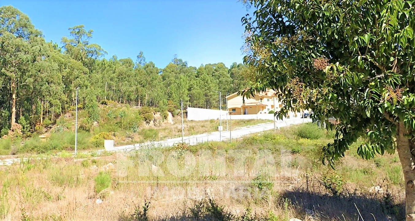 Terreno para Venda em Fajões Foto 12