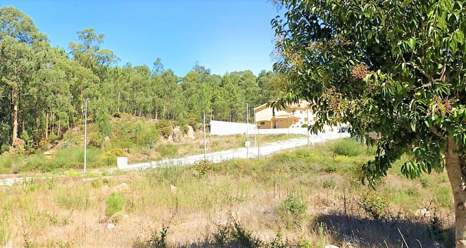 Terreno para Venda em Fajões Foto 12