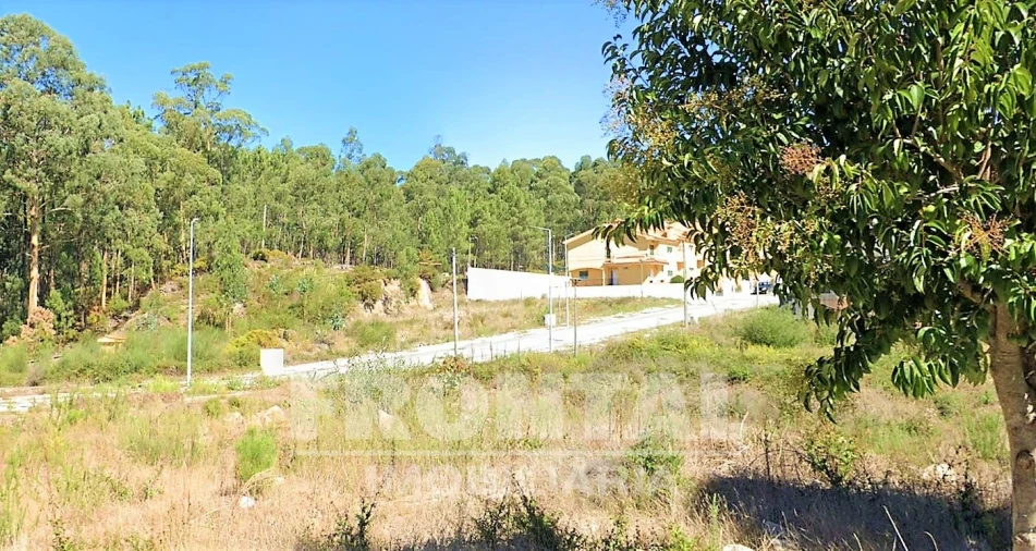 Terreno para Venda em Fajões Foto 12