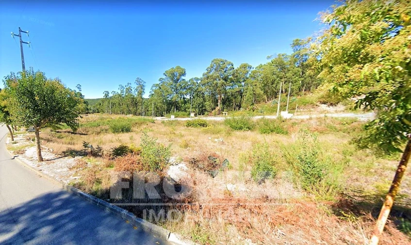 Terreno para Venda em Fajões Foto 6