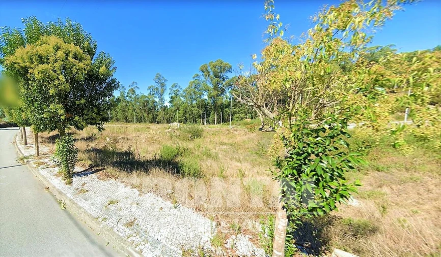 Terreno para Venda em Fajões Foto 5