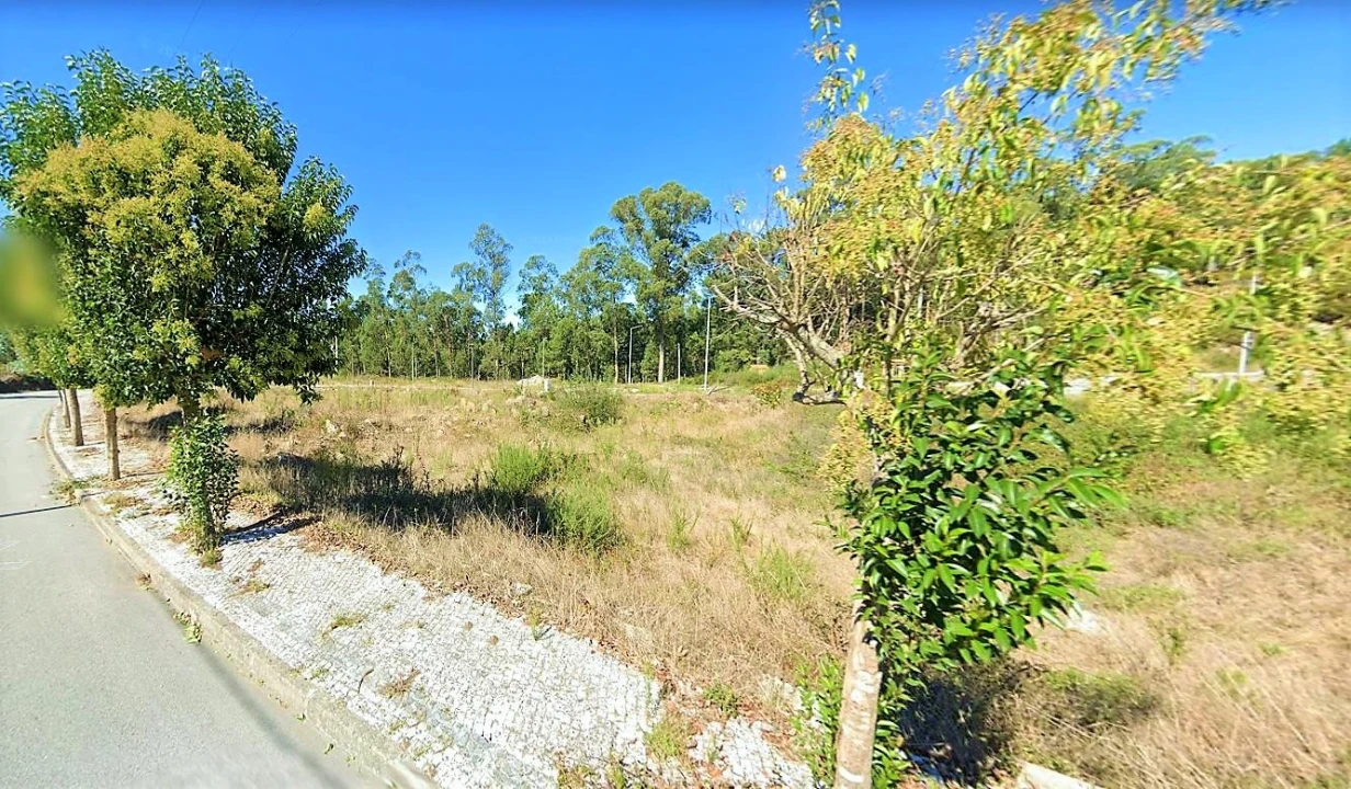 Terreno para Venda em Fajões Foto 4