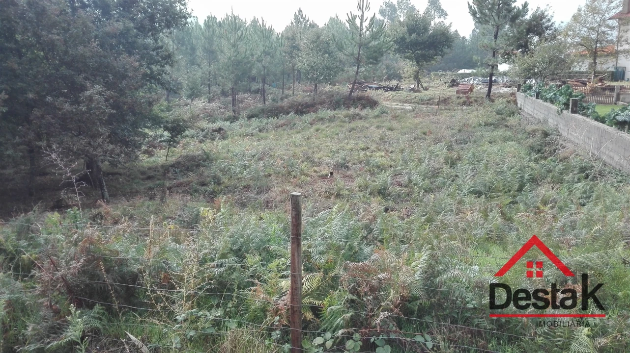 Terreno para Venda em Arca e Varzielas Foto 4