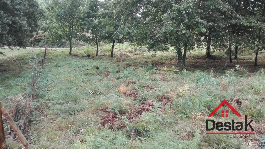 Terreno para Venda em Arca e Varzielas Foto 2