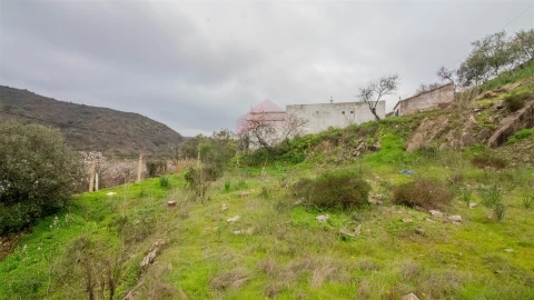 Terreno para Venda em Alcoutim e Pereiro