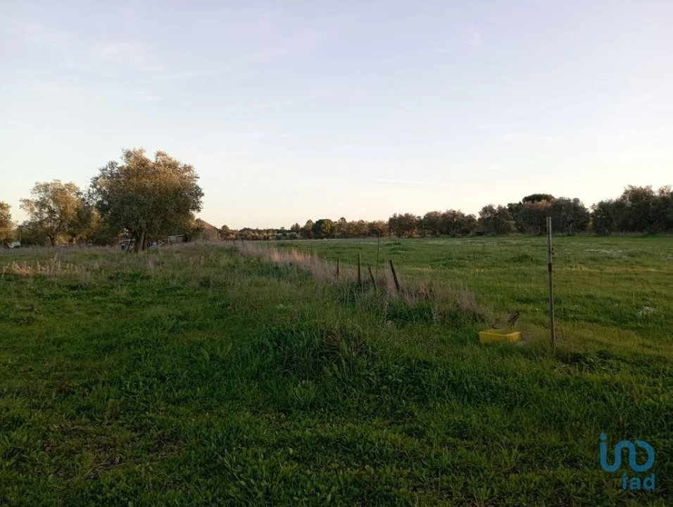 Terreno para Venda em Vale de Santarem Foto 5