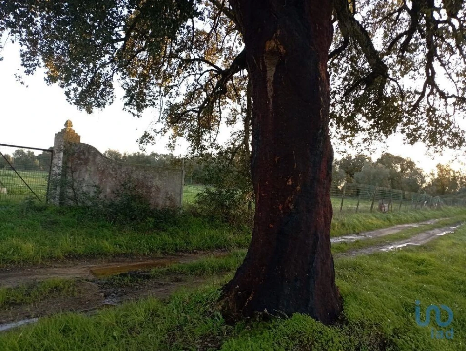 Terreno para Venda em Vale de Santarem Foto 8