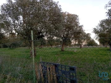 Terreno para Venda em Vale de Santarem