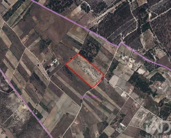 Terreno para Venda em Vale de Santarem