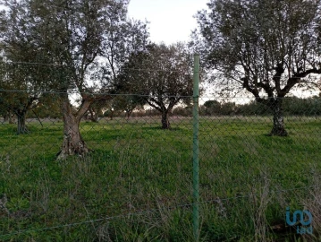 Terreno para Venda em Vale de Santarem