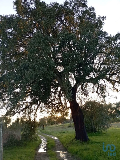 Terreno para Venda em Vale de Santarem