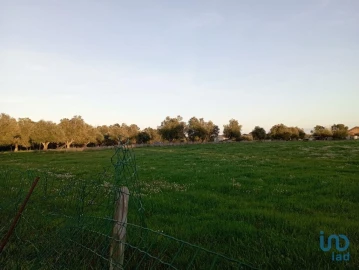 Terreno para Venda em Vale de Santarem