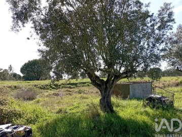 Terreno para Venda em Vale de Santarem